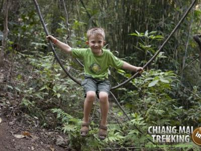 Photos from our guests | Chiang Mai Trekking | The best trekking in Chiang Mai with Piroon Nantaya